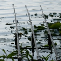 Daiwa Whisker X45 Carp Rods